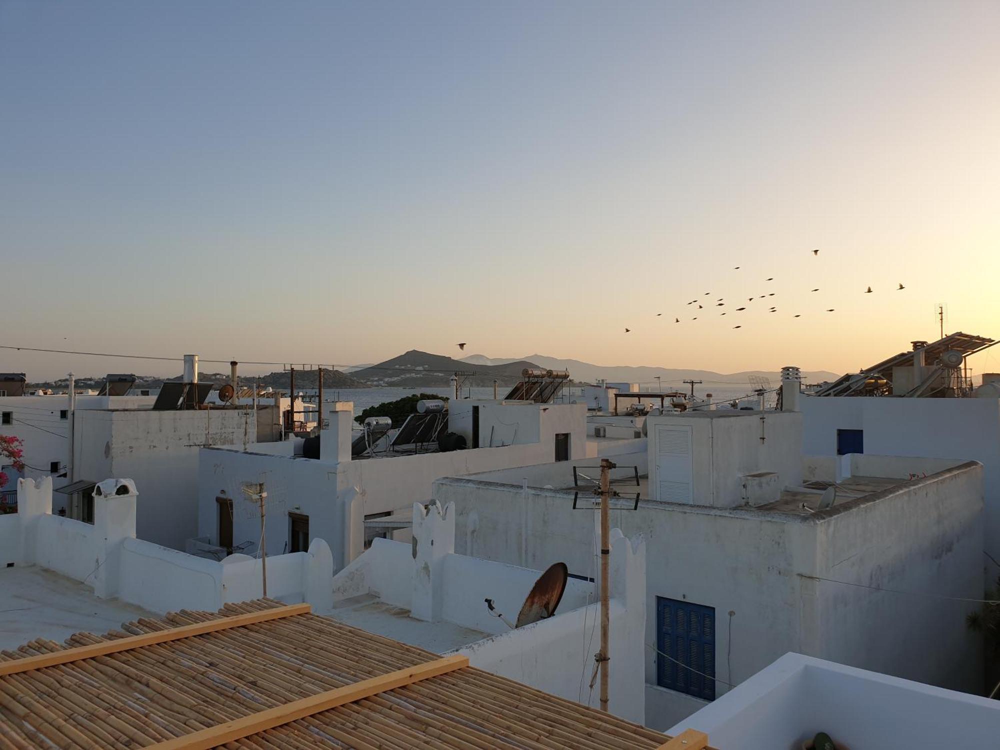 My Island Homes And Residence Naxos City Rum bild